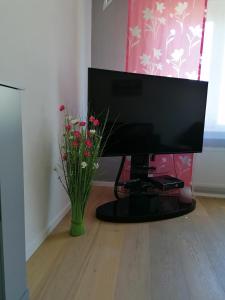 een televisie op een tafel met een vaas met bloemen bij Dohlennest, helle moderne Wohnung für 4 Personen in Mülheim an der Ruhr