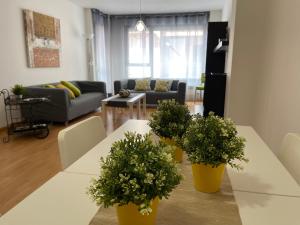 una sala de estar con dos mesas con plantas. en Apartamentos Ribera Navarra - Bardenas, en Castejón