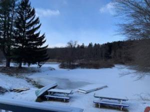 Το Spring Poconos Getaway! 2bd Cabin τον χειμώνα