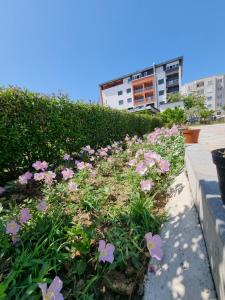 Gallery image of HOLIDAY HOME in Durrës