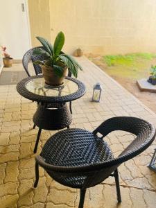 two chairs and a table with a potted plant on it at Lancy Apartments in Gaborone