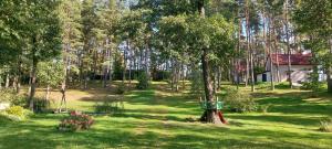 Vonkajšia záhrada v ubytovaní JW MAZURY domy wakacyjne nad jeziorem-DOM ŻURAW