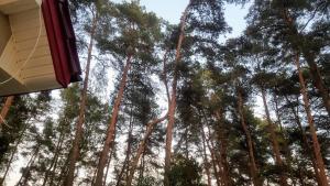 Fotografia z galérie ubytovania JW MAZURY domy wakacyjne nad jeziorem-DOM ŻURAW v destinácii Waplewo