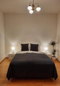 a bedroom with a large black bed with two lamps at Apartment Prague-2 rooms free parking in Prague
