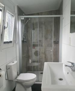 een badkamer met een douche, een toilet en een wastafel bij Klein Ramdal in Putten