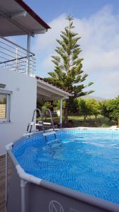 una gran piscina con un árbol en el fondo en Villa Liostasi, en Lagolíon