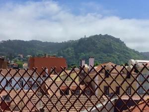 Naturlandskabet i nærheden af lejligheden