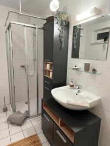 Ferienwohnung Auersbergblick tesisinde bir banyo