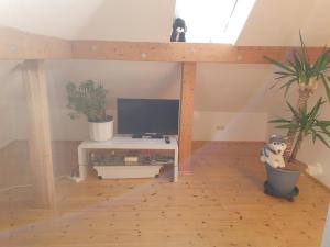 a living room with a tv and potted plants at Hotel, Ferienwohnung, Zimmer in Bad Driburg
