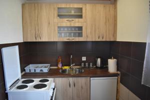 Kuchyň nebo kuchyňský kout v ubytování Apartments Avramovic - Bungalow