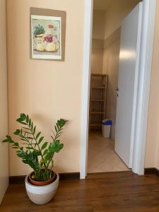 Fotografie z fotogalerie ubytování Sogni e Colori v destinaci Villanova dʼAlbenga