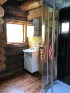 a bathroom with a shower and a sink at Villa Hideaway in Pärnu