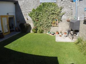 a small yard with green grass and a wall at Departamento Los Inmigrantes in Esquel