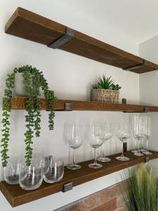 a row of wine glasses on a shelf with plants at The Hide in Ullapool