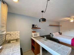 a small kitchen with a sink and a bed in a room at Cozy Apartment close to Andares @serra in Guadalajara