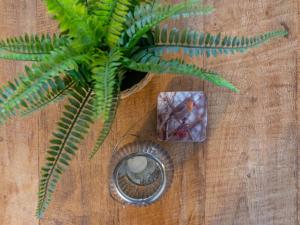 Fotografie z fotogalerie ubytování Tiny house Pimpelmees v destinaci Hulshorst