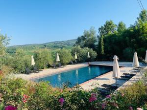 uma piscina com guarda-sóis e cadeiras brancas em Agriturismo Borgo Il Bonagino em Radda in Chianti