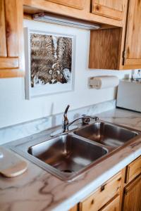 - un évier en acier inoxydable dans une cuisine avec des placards en bois dans l'établissement Teton Cabins, à Moran