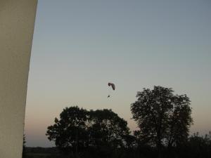 un oiseau volant dans le ciel au-dessus de quelques arbres dans l'établissement Na Skarpie, à Wyszków