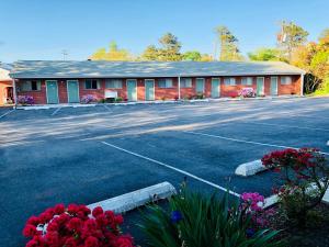Bassett Motel في وليامزبورغ: موقف امام عماره فيها ورد