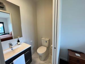 a bathroom with a toilet and a sink and a mirror at Starry Vista-Alpha in Lake Tekapo