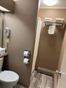 Bathroom sa Viking Arms Inn - Ludington