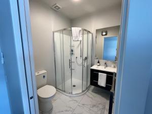 a bathroom with a shower and a toilet and a sink at Starry Vista-Beta in Lake Tekapo