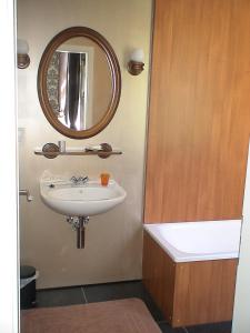 薩爾特-雷斯溫泉的住宿－Le Relais des Fagnes，一间带水槽和镜子的浴室