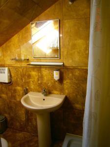 a bathroom with a sink and a mirror and a shower curtain at Villa Eeden in Pärnu