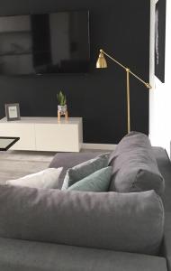 a gray couch with pillows in a living room at Apartament Miętowa Zebra in Olsztyn