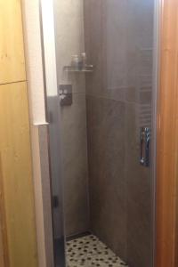um chuveiro com uma porta de vidro na casa de banho em Chrys appartamenti em Valfurva
