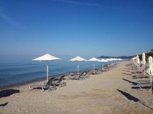eine Reihe von Stühlen und Sonnenschirmen am Strand in der Unterkunft Skion Palace Beach Hotel-Bungalows & Boutique Hotel in Nea Skioni