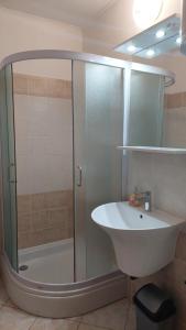 a bathroom with a shower and a sink at Apartments Donadic I, Caska in Novalja