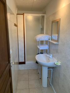 uma casa de banho com um lavatório, um espelho e um chuveiro em A CANTINA em Ucciani