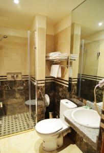 uma casa de banho com um WC, um chuveiro e um lavatório. em Résidence Hotelière Fleurie em Agadir
