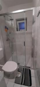 a bathroom with a toilet and a glass shower at Apartment Pijer in Novalja +19 photos