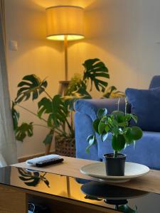 a living room with a blue couch and a potted plant on a table at Cosy Apartment With Sea View Close To The Beach in Nikiana
