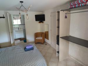 TV a/nebo společenská místnost v ubytování Appartement en pleine nature avec piscine chauffée
