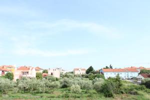 widok na miasto z domów i drzew w obiekcie Apartment Burro 88 w mieście Zadar