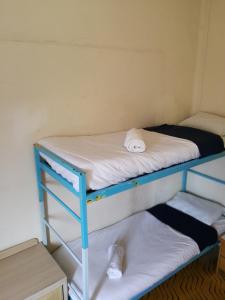 Våningssäng eller våningssängar i ett rum på Momo's Hostel