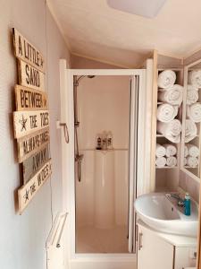 96 Newquay Bay Resort Pet friendly في نيوكواي: حمام مع دش ومغسلة