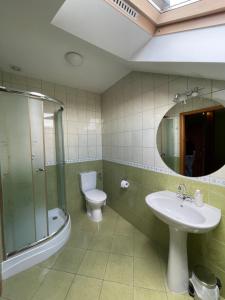 ein Badezimmer mit einem Waschbecken, einem WC und einem Spiegel in der Unterkunft Restauracja Rozmarzyn in Schildberg
