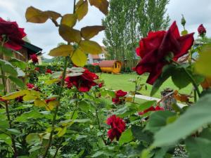 Fotografia z galérie ubytovania Schlaffass im Traumgarten v destinácii Sankt Veit am Vogau