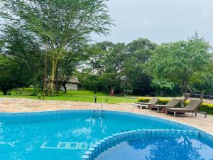 uma piscina com cadeiras e árvores ao fundo em Mara Sweet Acacia Lodge em Talek