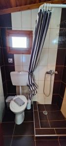 a small bathroom with a toilet and a shower at Dalis House in Astris