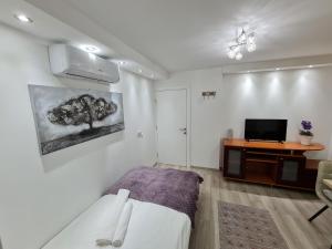 TV a/nebo společenská místnost v ubytování "Astor16" Apartments