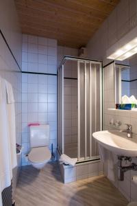 a bathroom with a toilet and a sink and a shower at Seminarhotel Linde Stettlen in Bern