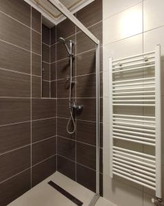 a shower in a bathroom with brown tiles at Deluxe Apartment Lejla - Free garage parking in Sarajevo +15 photos