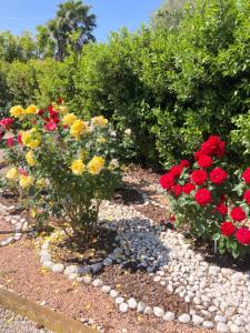Gallery image of La Rosa del lago in Bracciano +47 photos