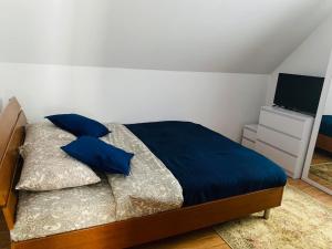 ニエジツァ・ザメクにあるApartament ASKEYのベッドルーム(青い枕とテレビ付)